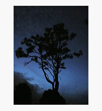 Nite 24 Photographic Print