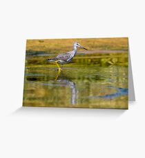 Greater Yellowlegs Greeting Card
