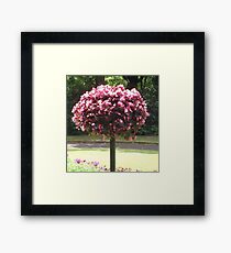 Pink Flower Tree Framed Print