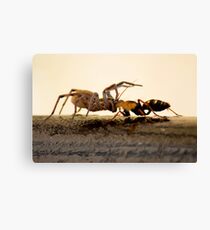 Pull of nature Canvas Print