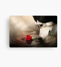 Dog with Rose Canvas Print