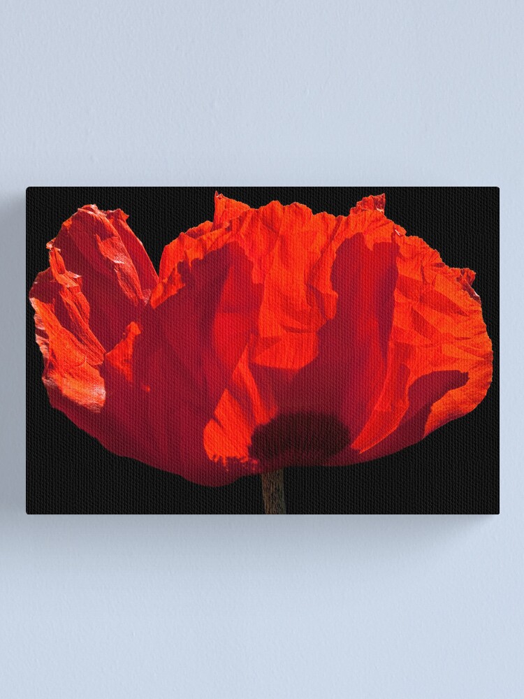 Alternate view of Sunlit Poppy Canvas Print