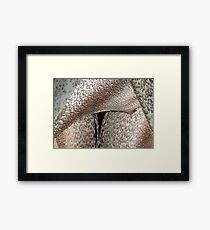 Rough reality Framed Print