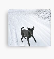 Ellie Mae Metal Print