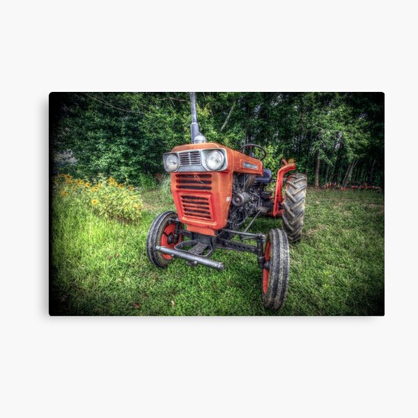 KUBOTA Canvas Print