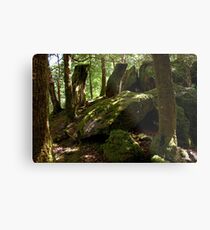They climb Metal Print