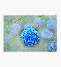 WallPaper Photographic Print