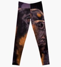 Mr Handsome Leggings