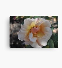 Wet The Flowers Canvas Print