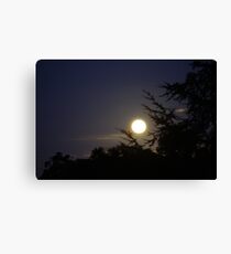 The theif left it Canvas Print