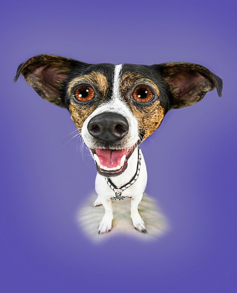 Fun-eez Pet Caricatures by SadSac Designs Jack Russell Terrier by SadSacDesigns