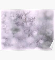 Enchanted Dream Poster