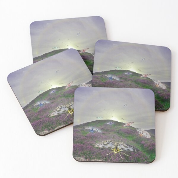 Rainbow Moths Coasters (Set of 4)