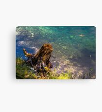 Hallstatt in Austria-006 Canvas Print