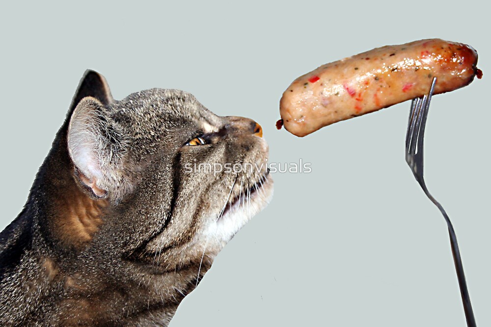 Sausage Cat by simpsonvisuals
