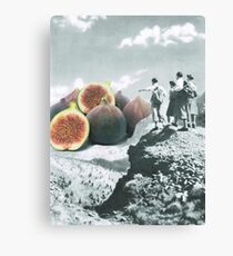 Fig dreams Canvas Print