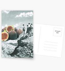 Fig dreams Postcards
