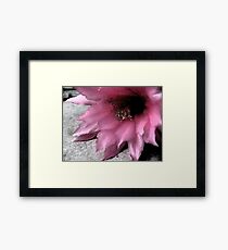 Without You Framed Print