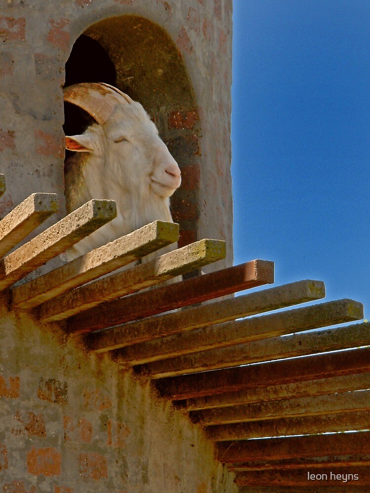 "Goat in Tower" by Leon Heyns Redbubble