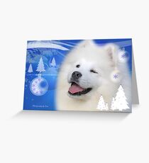 CC21 - Samoyed Pup Greeting Card