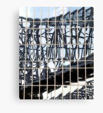 Reflection Canvas Print