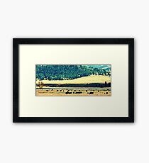 Yellowstone Buffalo Framed Print