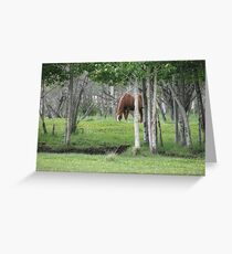 Blaze Greeting Card