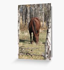 CeeBee Greeting Card