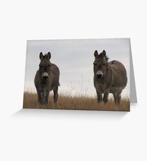 Watching Greeting Card