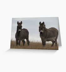Donkey Pair Greeting Card