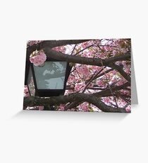 Illuminating Nature Greeting Card