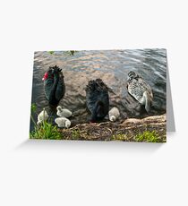 Swan Family #2 Greeting Card