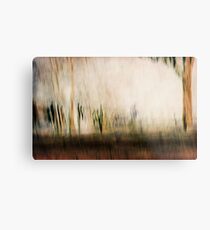 Bushland Metal Print