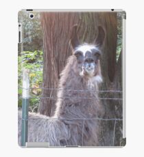 Alpaca modeling iPad Case/Skin