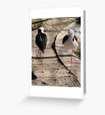 Stilts Greeting Card