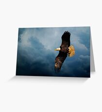 Determination Greeting Card