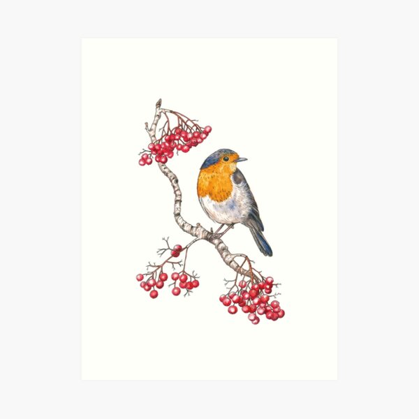 Robin Art Print