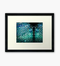 Born A Dragonfly Framed Print