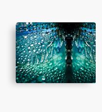 Born A Dragonfly Canvas Print