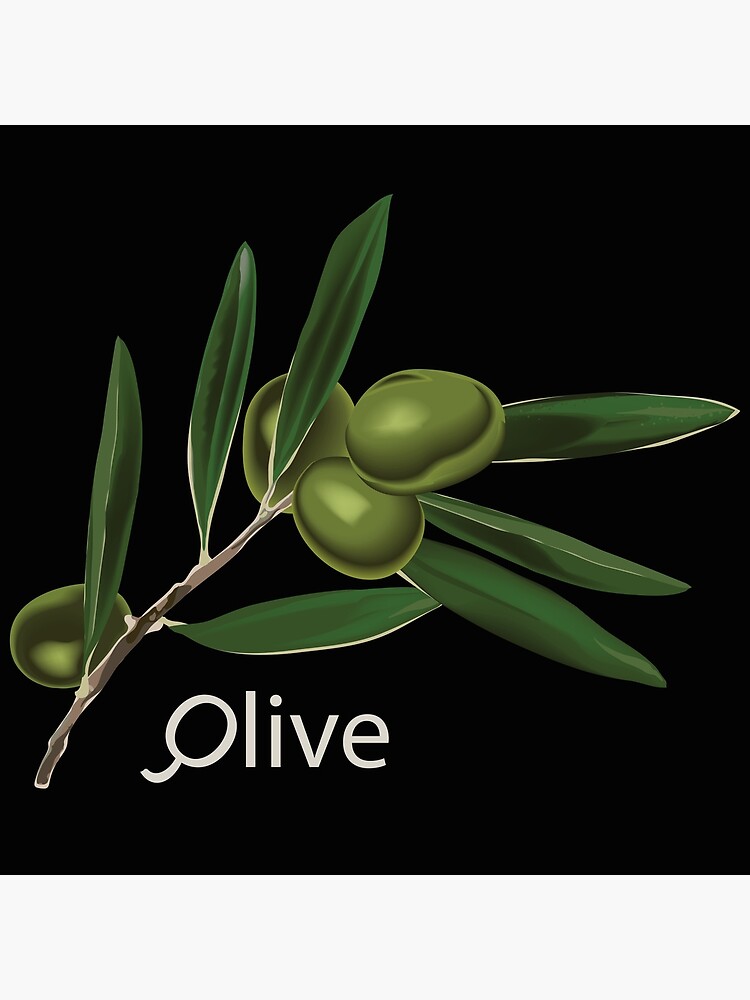 Olive Branch by a-roderick