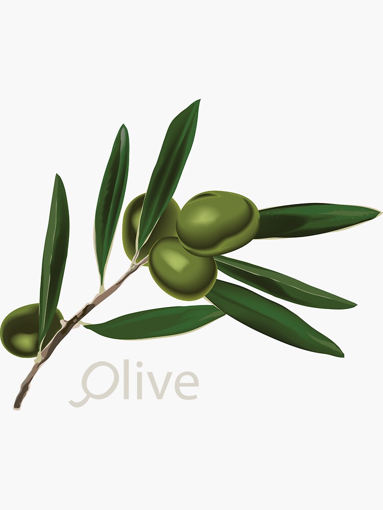 Olive Branch by a-roderick