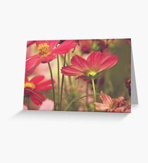 Stand up! girls...Sold, Got explore Featured, Got 3 Featured Works Greeting Card