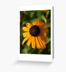 blackeyed susan Greeting Card