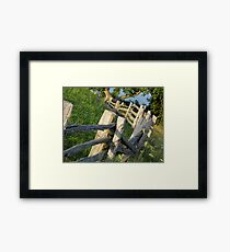 The old rail fence Framed Print