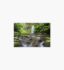Hopetoun Falls, Otways, Great Ocean Road, Victoria, Australia Art Board
