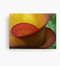 sensual curves Canvas Print