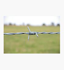 Barbed Wire Photographic Print