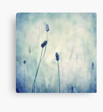 endearing Canvas Print