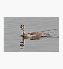 Here's Looking at You Kid! Photographic Print