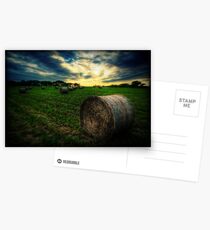 Canon Fodder Postcards
